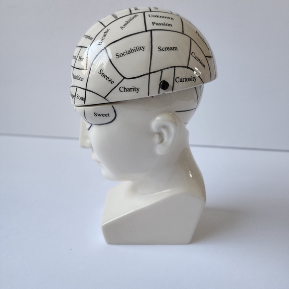 Phrenology Head ceramic porcelain medical terms decor - Picture 4 of 9
